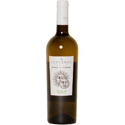Campania IGT Falanghina 'Centenus'