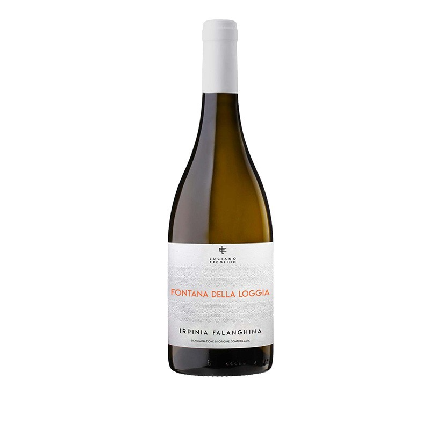 Irpinia Falanghina DOC 'Fontana della Loggia'